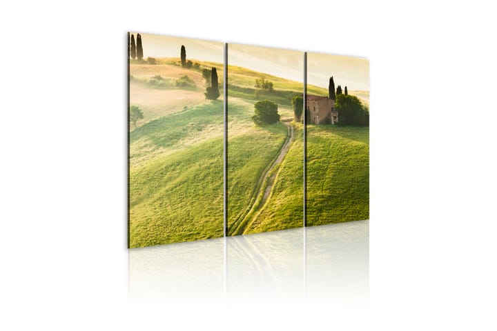 Bilde Under The Tuscan Sun 120x80 - Artgeist sp. z o. o. - Interiør - Plakater & posters - Lerretsbilder
