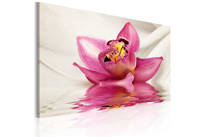 Bilde Unusual Orchid 60x40 - Artgeist sp. z o. o. - Innredning - Plakater & posters - Lerretsbilder