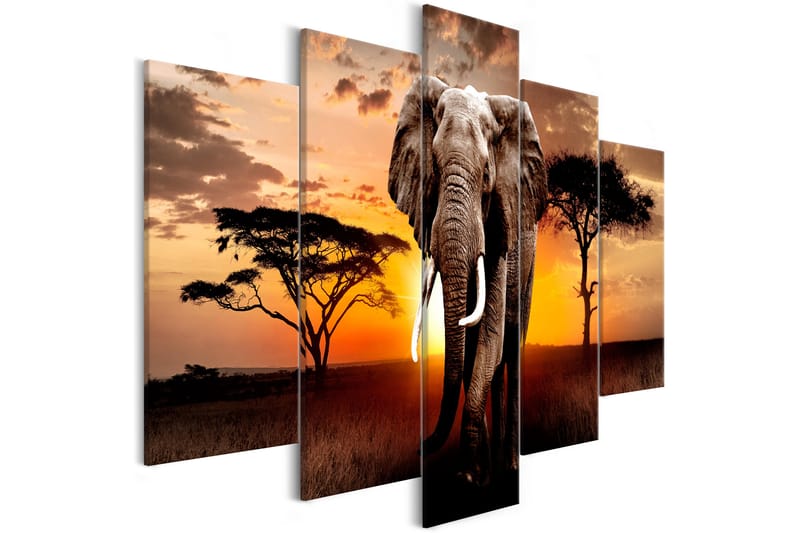 Bilde Wandering Elephant 5 Parts Wide 225x100 - Artgeist sp. z o. o. - Interiør - Plakater & posters - Lerretsbilder