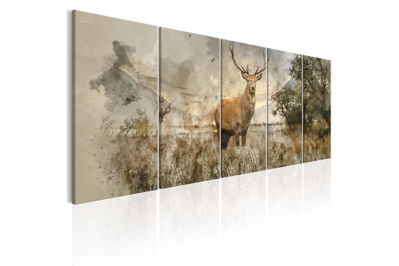 Bilde Watercolour Deer 225x90 - Finnes i flere størrelser - Innredning - Plakater & posters - Lerretsbilder