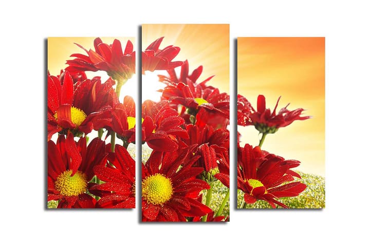 Canvasbilde 3-pk flerfarget - 22x03 cm - Interiør - Maleri & posters - Lerretsbilder