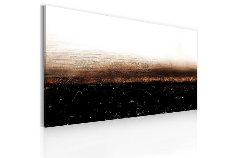 Canvasbilde Black soil 120x60 cm - Artgeist sp. z o. o. - Innredning - Plakater & posters - Rammer