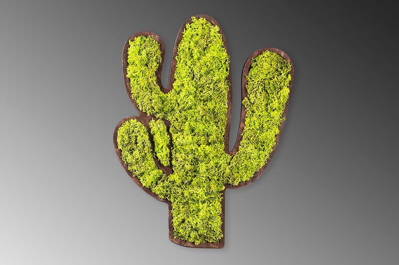 Canvasbilde Cactus - Grønn/Hvit - Innredning - Plakater & posters - Lerretsbilder