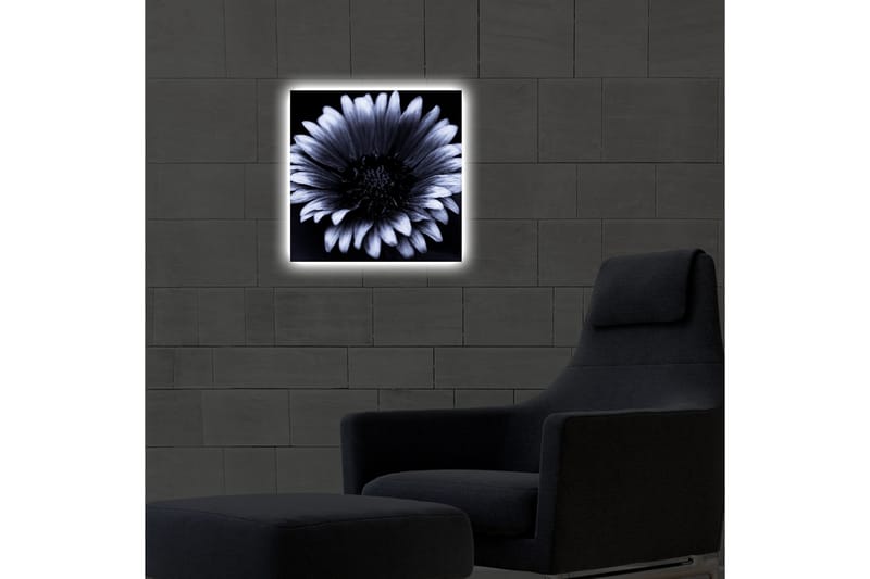 Canvasbilde Dekorativ LED-belysning - Flerfarget - Interiør - Maleri & posters - Lerretsbilder