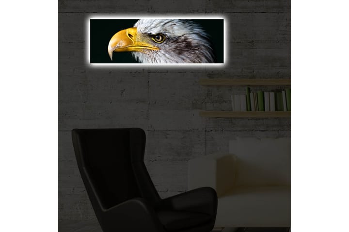Canvasbilde Dekorativ LED-belysning - Flerfarget - Interiør - Plakater & posters - Lerretsbilder