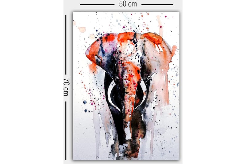 Canvasbilde Flerfarget - 50x70 cm - Innredning - Plakater & posters - Lerretsbilder