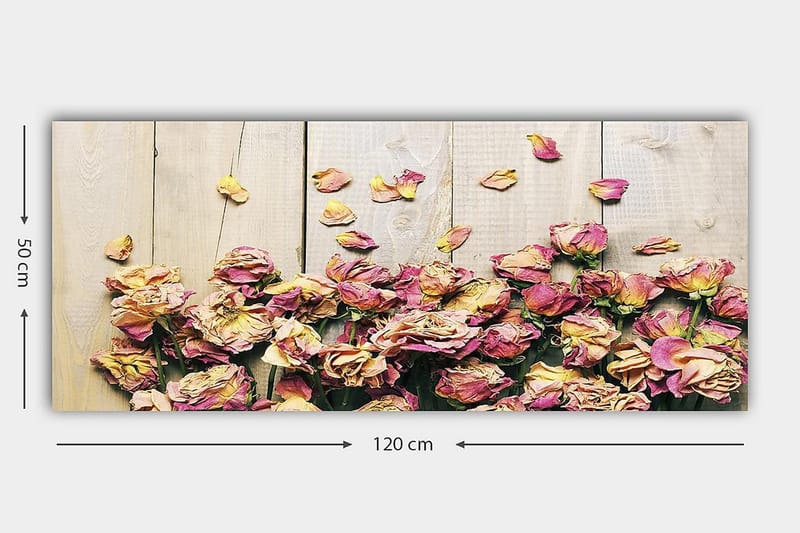 Canvasbilde YTY Floral & Botanical Flerfarget - 120x50 cm - Interiør - Plakater & posters - Lerretsbilder