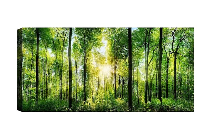 Canvasbilde YTY Landscape & Nature Flerfarget - 120x50 cm - Innredning - Plakater & posters - Posters