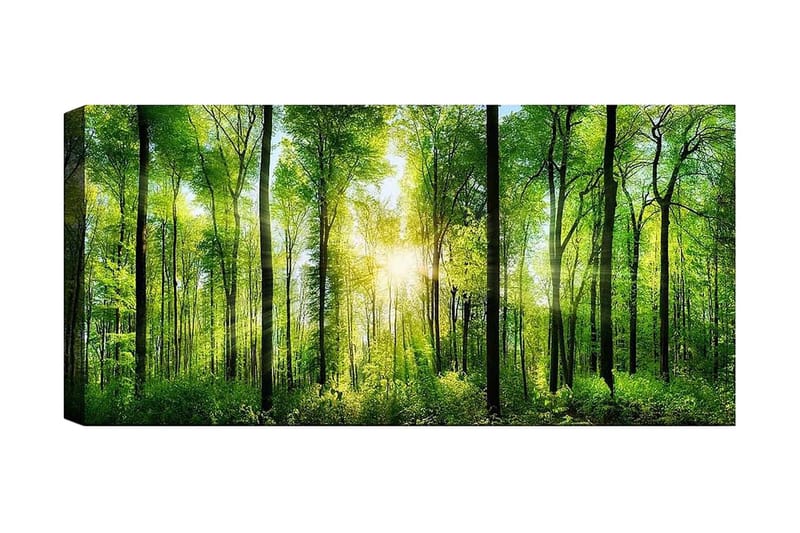 Canvasbilde YTY Landscape & Nature Flerfarget - 120x50 cm - Innredning - Plakater & posters - Lerretsbilder