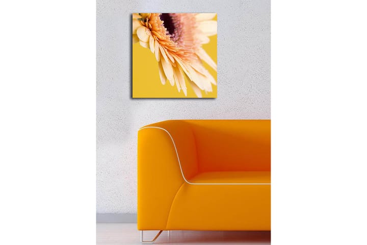 Dekorativ Canvasbilde 45x45 cm - Flerfarget - Innredning - Plakater & posters - Lerretsbilder