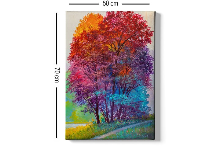 Dekorativ Canvasbilde 50x70 cm - Flerfarget - Innredning - Plakater & posters - Lerretsbilder