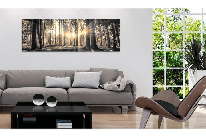 Tavle Forest Sun 120X40 - Artgeist sp. z o. o. - Innredning - Plakater & posters - Lerretsbilder
