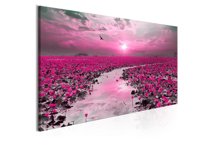 Tavle Lilies And Sunset (1 Part) Narrow 135X45 - Artgeist sp. z o. o. - Innredning - Plakater & posters - Lerretsbilder