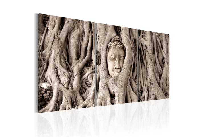 Tavle Meditation'S Tree 60X30 - Artgeist sp. z o. o. - Innredning - Plakater & posters - Lerretsbilder