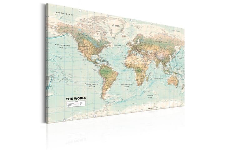 Tavle World Map: Beautiful World 90X60 - Artgeist sp. z o. o. - Innredning - Plakater & posters - Lerretsbilder