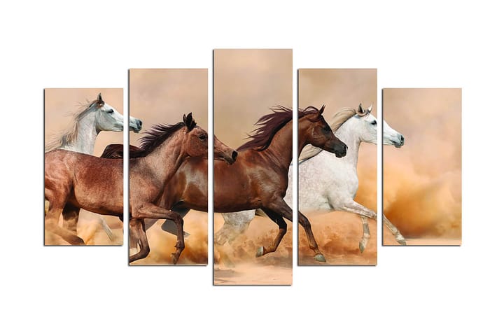 Canvasbilde Animals 5-pk Flerfarget - 22x06 cm - Innredning - Plakater & posters - Posters