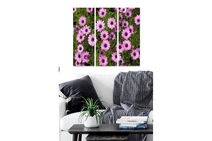 Canvasbilde Floral 3-pk flerfarget - 22x05 cm - Innredning - Plakater & posters - Lerretsbilder