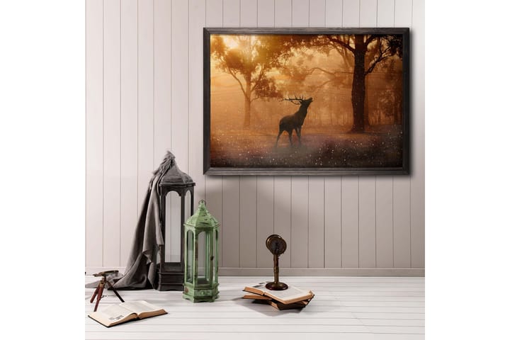 Deer At Dawn Foto Oransje/Brun - 70x50 cm - Interiør - Maleri & posters - Posters - Fotoplakater