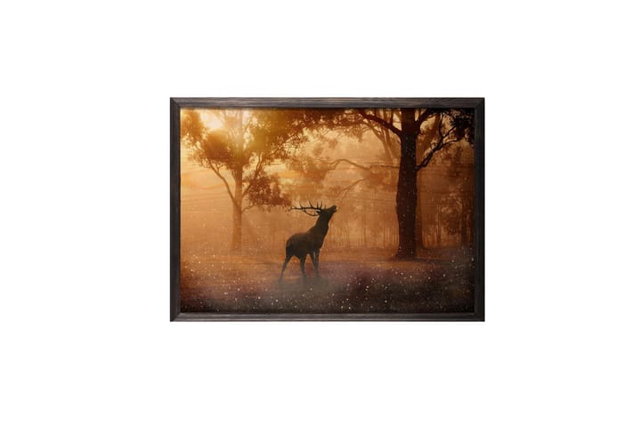 Deer At Dawn Foto Oransje/Brun - 70x50 cm - Interiør - Maleri & posters - Posters