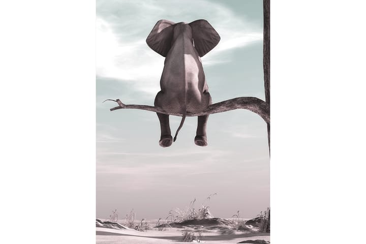 Poster Elephant 50x70 cm - Multifarge - Interiør - Plakater & posters - Posters