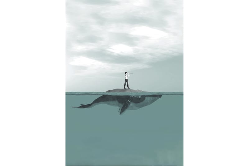 Poster Whale 50x70 cm