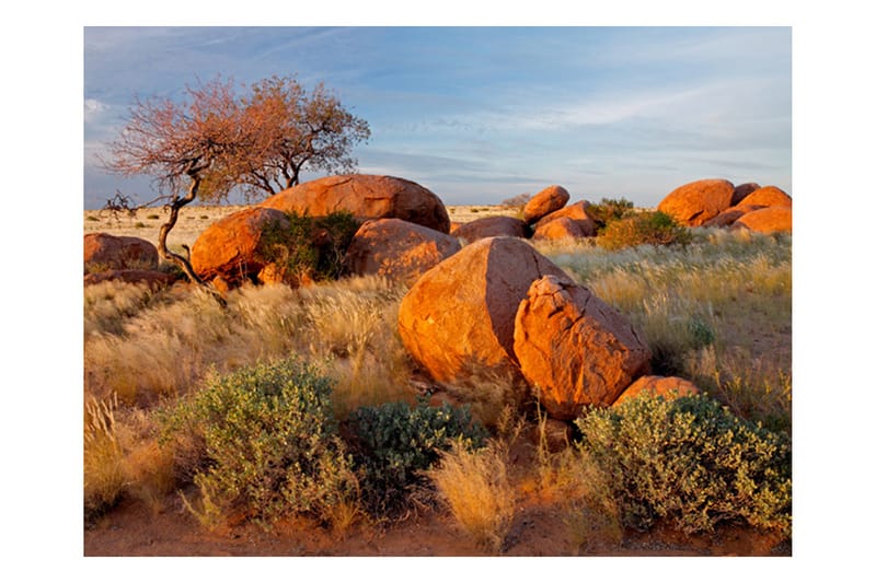 Fototapet Afrikansk Landskap Namibia 300x231 - Artgeist sp. z o. o. - Interiør - Tapet - Fototapeter