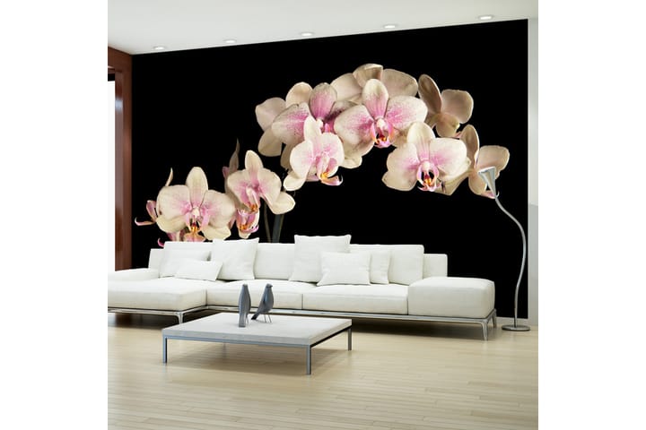 Fototapet Blooming Orchid 450x270 - Artgeist sp. z o. o. - Interiør - Tapet - Fototapeter