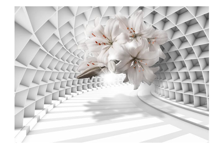 Fototapet Flowers In The Tunnel 300x210 - Finnes i flere størrelser - Innredning - Tapeter - Fototapeter