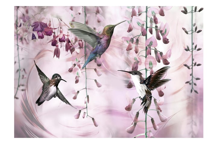 Fototapet Flying Hummingbirds Pink 350x245 - Finnes i flere størrelser - Interiør - Tapet - Fototapeter