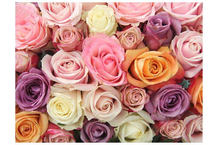 Fototapet Pastel Roses 300x231 - Artgeist sp. z o. o. - Innredning - Tapet - Fototapeter