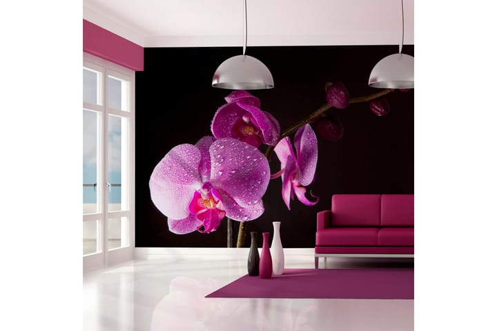 Fototapet Stylish Orchids 300x231 - Artgeist sp. z o. o. - Innredning - Tapet - Fototapeter