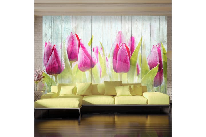 Fototapet Tulips On White Wood 300x210 - Finnes i flere størrelser - Innredning - Tapet - Fototapeter
