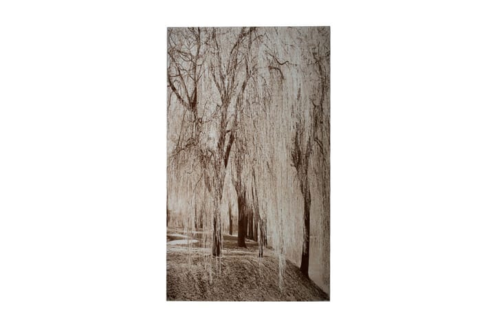 Matte Pierre Cardin Diamond 160x230 Tree - Brun - Innredning - Tepper & Matter