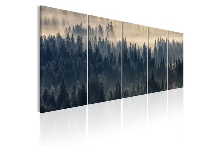 Bilde Fir In The Fog 200x80 - Finnes i flere størrelser - Innredning - Veggdekorasjon - Lerretsbilder