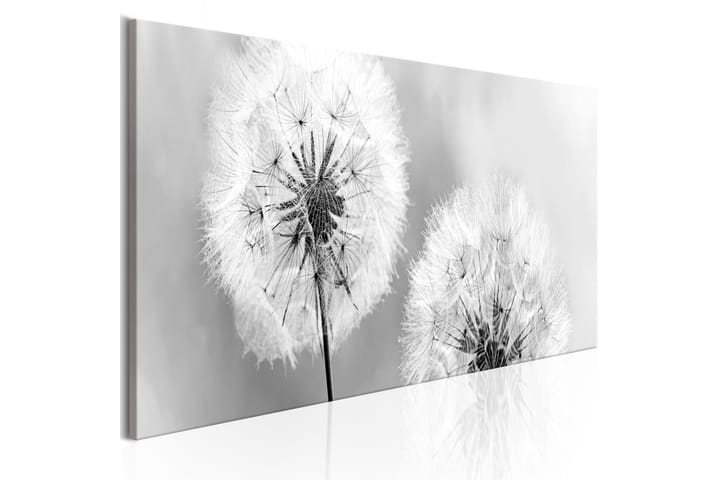 Bilde Summer Memories 150x50 - Finnes i flere størrelser - Innredning - Veggdekorasjon - Lerretsbilder