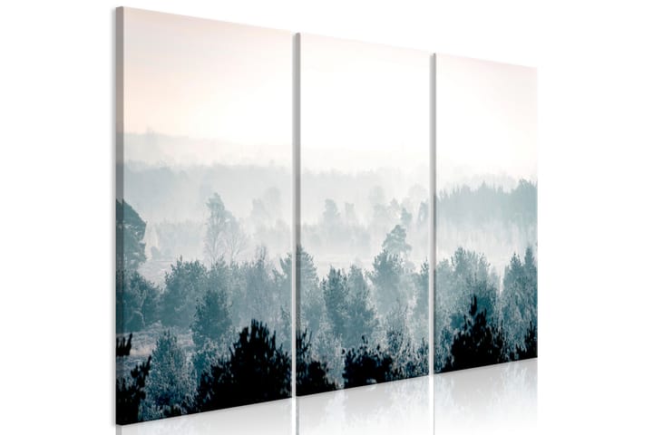 Bilde Winter Forest 3 Parts 120x80 - Finnes i flere størrelser - Innredning - Veggdekorasjon - Lerretsbilder