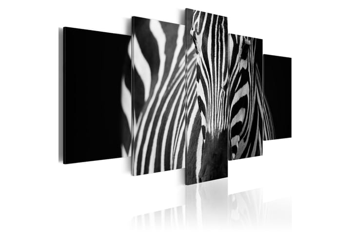 Bilde Zebra Look 100x50 - Finnes i flere størrelser - Innredning - Veggdekorasjon - Lerretsbilder