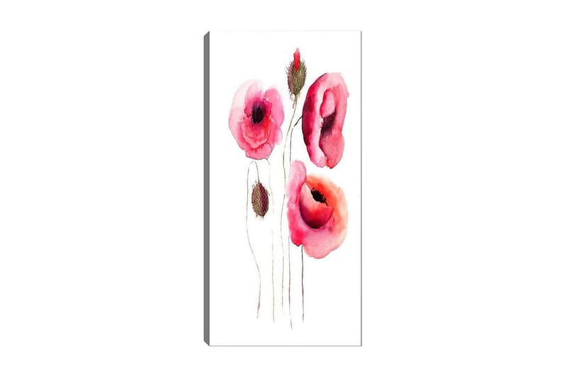 Canvasbilde DKY Floral & Botanical Flerfarget