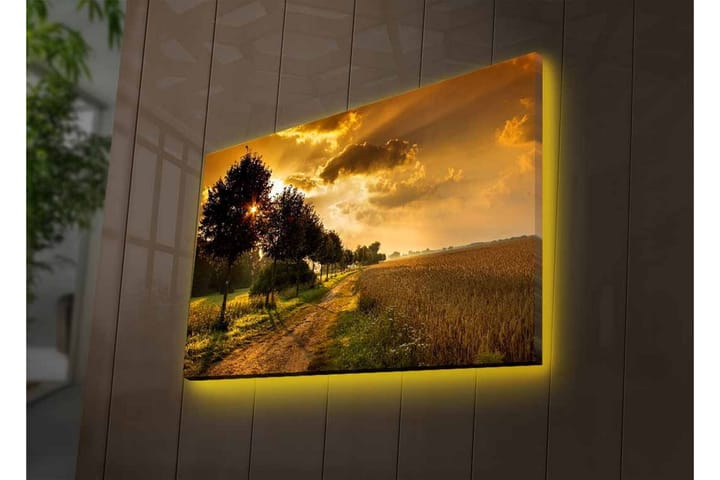 Veggdekorasjon LED-belysning Canvas Bilde - Innredning - Veggdekorasjon - Lerretsbilder