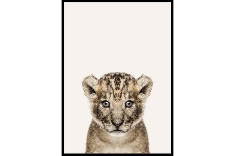 Poster Gallerix Baby Lion - Gallerix - Innredning - Veggdekorasjon - Posters