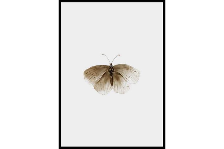Poster Gallerix Watercolor Butterfly - Gallerix - Innredning - Veggdekorasjon - Posters